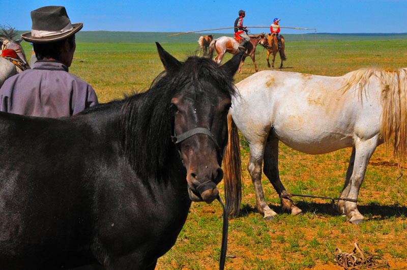 Mongolie